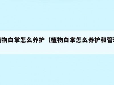植物白掌怎么养护（植物白掌怎么养护和管理）