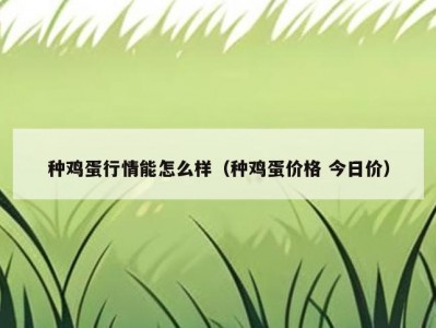 种鸡蛋行情能怎么样（种鸡蛋价格 今日价）