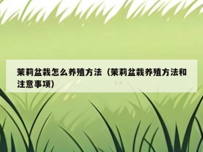 茉莉盆栽怎么养殖方法（茉莉盆栽养殖方法和注意事项）