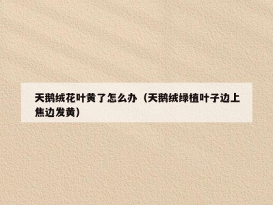 天鹅绒花叶黄了怎么办（天鹅绒绿植叶子边上焦边发黄）