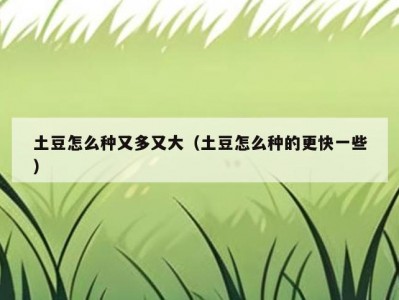 土豆怎么种又多又大（土豆怎么种的更快一些）