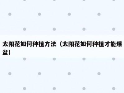 太阳花如何种植方法（太阳花如何种植才能爆盆）