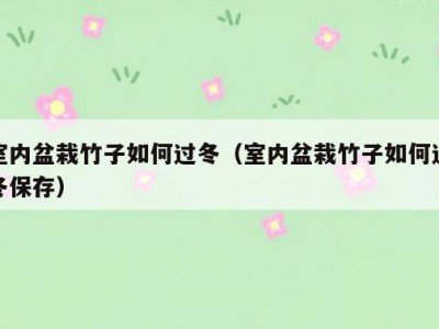 室内盆栽竹子如何过冬（室内盆栽竹子如何过冬保存）