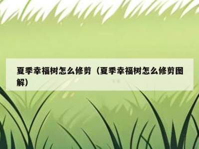 夏季幸福树怎么修剪（夏季幸福树怎么修剪图解）