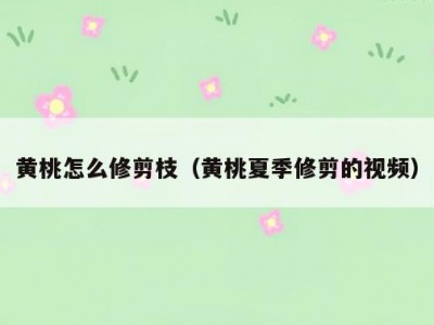 黄桃怎么修剪枝（黄桃夏季修剪的视频）