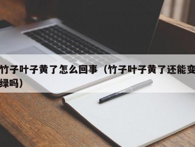 竹子叶子黄了怎么回事（竹子叶子黄了还能变绿吗）