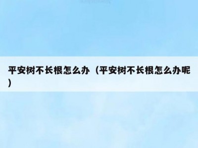平安树不长根怎么办（平安树不长根怎么办呢）