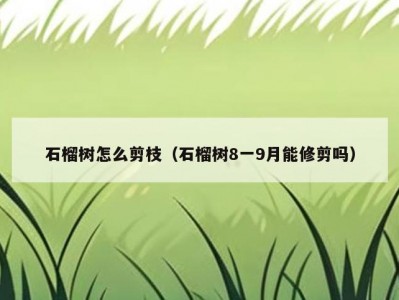 石榴树怎么剪枝（石榴树8一9月能修剪吗）