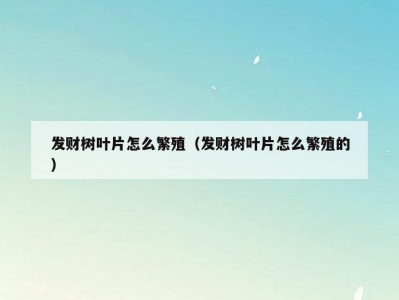 发财树叶片怎么繁殖（发财树叶片怎么繁殖的）