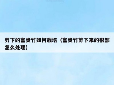 剪下的富贵竹如何栽培（富贵竹剪下来的根部怎么处理）