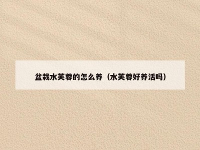 盆栽水芙蓉的怎么养（水芙蓉好养活吗）