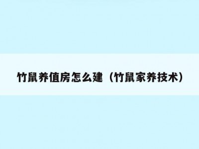 竹鼠养值房怎么建（竹鼠家养技术）