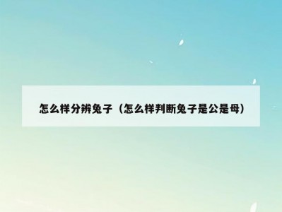 怎么样分辨兔子（怎么样判断兔子是公是母）