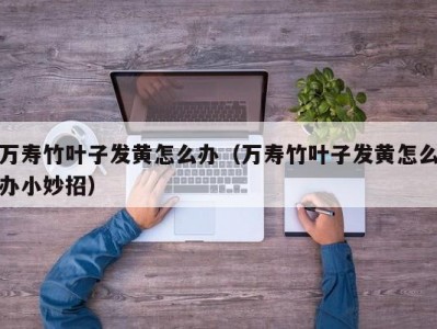 万寿竹叶子发黄怎么办（万寿竹叶子发黄怎么办小妙招）