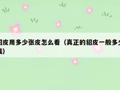 貂皮用多少张皮怎么看（真正的貂皮一般多少钱）