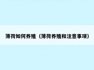 薄荷如何养殖（薄荷养殖和注意事项）