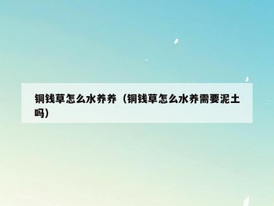 铜钱草怎么水养养（铜钱草怎么水养需要泥土吗）