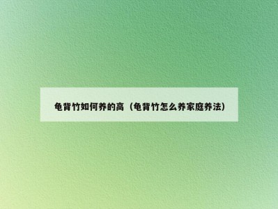 龟背竹如何养的高（龟背竹怎么养家庭养法）