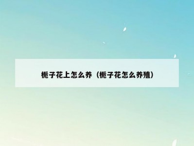 栀子花上怎么养（栀子花怎么养殖）