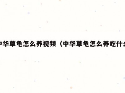 中华草龟怎么养视频（中华草龟怎么养吃什么）