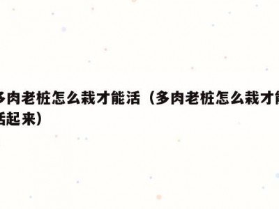 多肉老桩怎么栽才能活（多肉老桩怎么栽才能活起来）