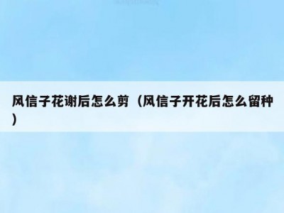 风信子花谢后怎么剪（风信子开花后怎么留种）