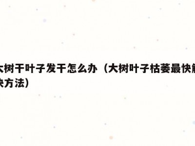 大树干叶子发干怎么办（大树叶子枯萎最快解决方法）