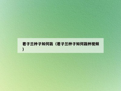 君子兰种子如何栽（君子兰种子如何栽种视频）