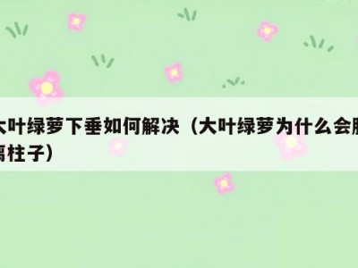 大叶绿萝下垂如何解决（大叶绿萝为什么会脱离柱子）