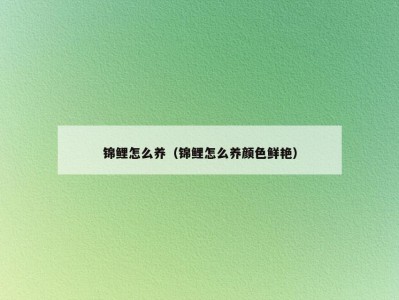 锦鲤怎么养（锦鲤怎么养颜色鲜艳）