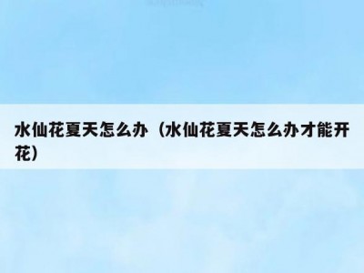 水仙花夏天怎么办（水仙花夏天怎么办才能开花）