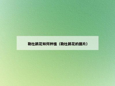 勒杜鹃花如何种植（勒杜鹃花的图片）
