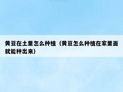 黄豆在土里怎么种植（黄豆怎么种植在家里面就能种出来）
