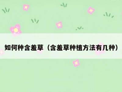 如何种含羞草（含羞草种植方法有几种）