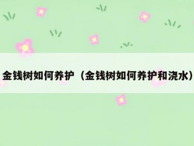金钱树如何养护（金钱树如何养护和浇水）