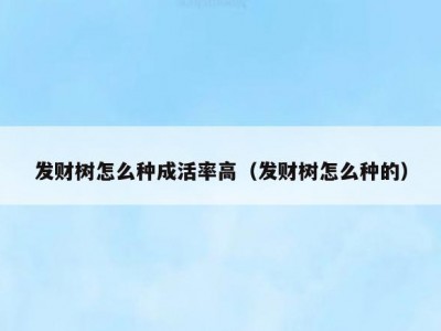 发财树怎么种成活率高（发财树怎么种的）