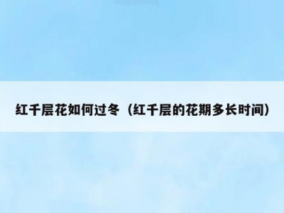 红千层花如何过冬（红千层的花期多长时间）
