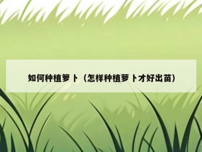 如何种植箩卜（怎样种植萝卜才好出苗）