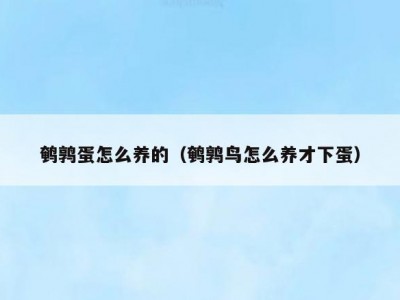 鹌鹑蛋怎么养的（鹌鹑鸟怎么养才下蛋）