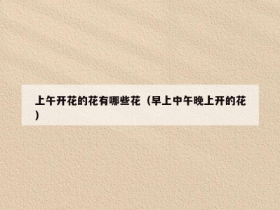 上午开花的花有哪些花（早上中午晚上开的花）
