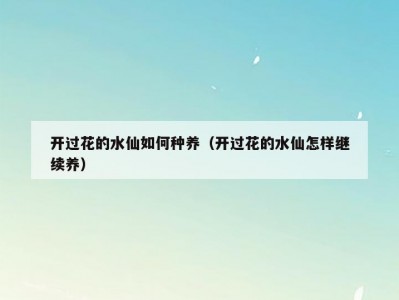 开过花的水仙如何种养（开过花的水仙怎样继续养）