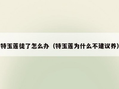 特玉莲徒了怎么办（特玉莲为什么不建议养）