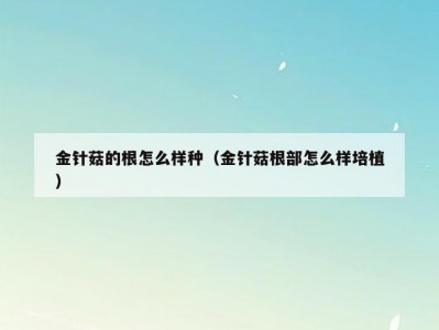 金针菇的根怎么样种（金针菇根部怎么样培植）