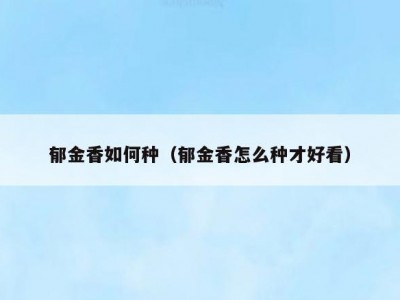 郁金香如何种（郁金香怎么种才好看）