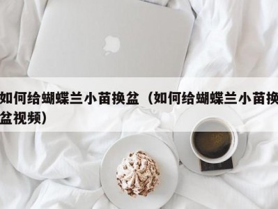 如何给蝴蝶兰小苗换盆（如何给蝴蝶兰小苗换盆视频）
