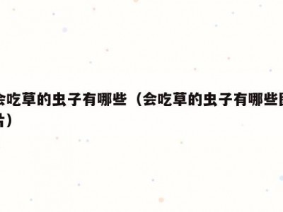 会吃草的虫子有哪些（会吃草的虫子有哪些图片）