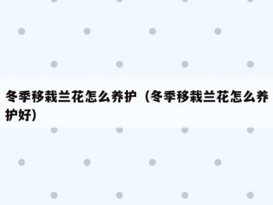冬季移栽兰花怎么养护（冬季移栽兰花怎么养护好）