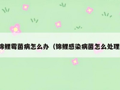 锦鲤霉菌病怎么办（锦鲤感染病菌怎么处理）