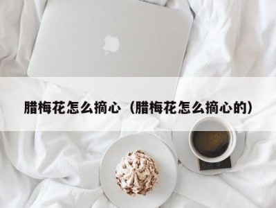腊梅花怎么摘心（腊梅花怎么摘心的）