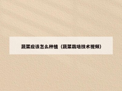 蔬菜应该怎么种植（蔬菜栽培技术视频）